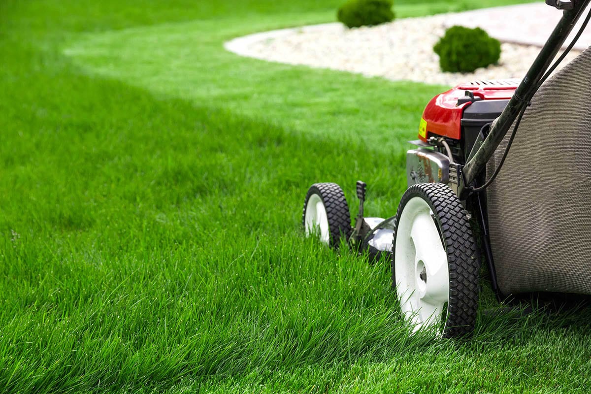 Progettazione Realizzazione Giardini Gardenie - Richiedi un preventivo